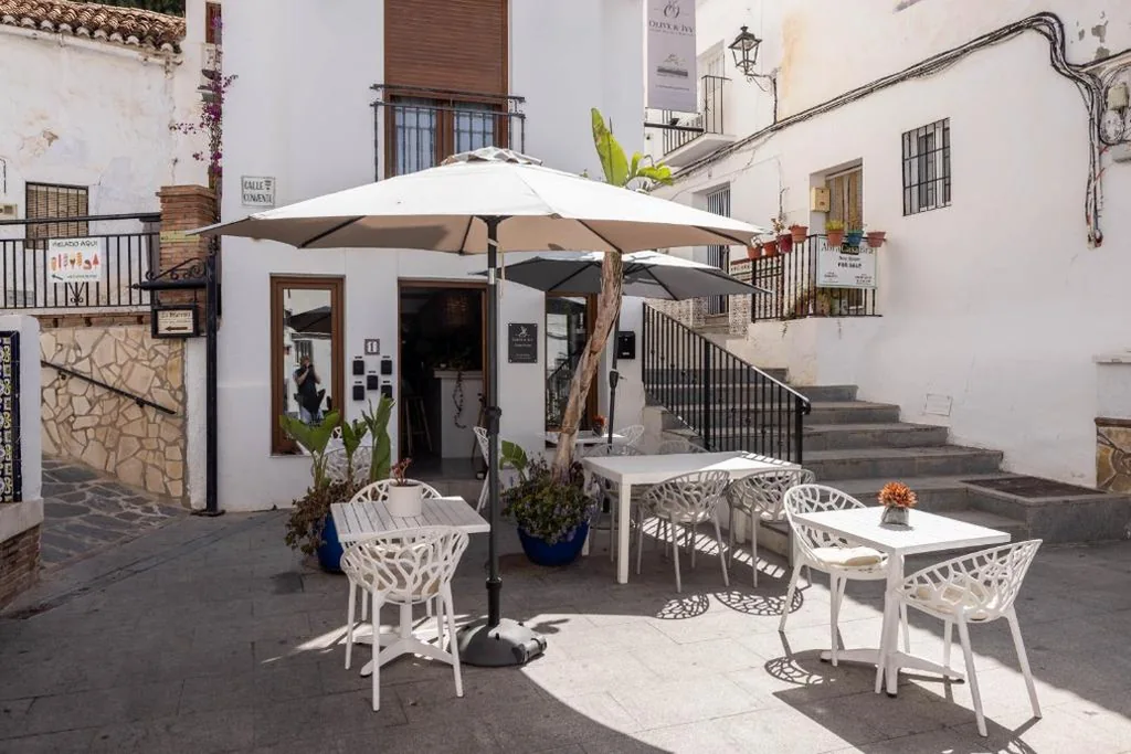 Olive & Ivy Guest House