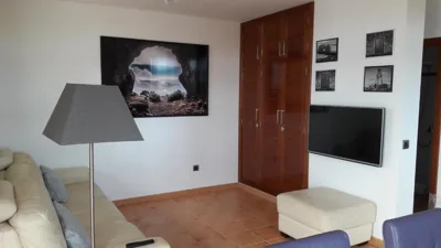 Omae Papagayo — Foto 6