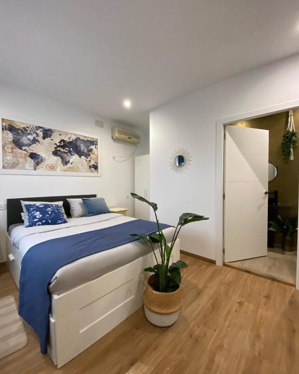 Orange Vibes Guest house