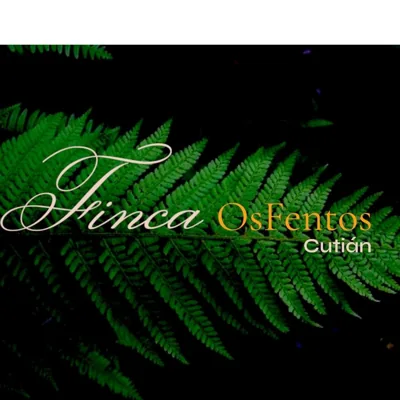 Os Fentos — foto 9