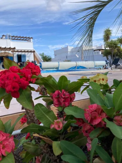 "Our Soleada" Villa cosy and flowery, heated pool — photo 12