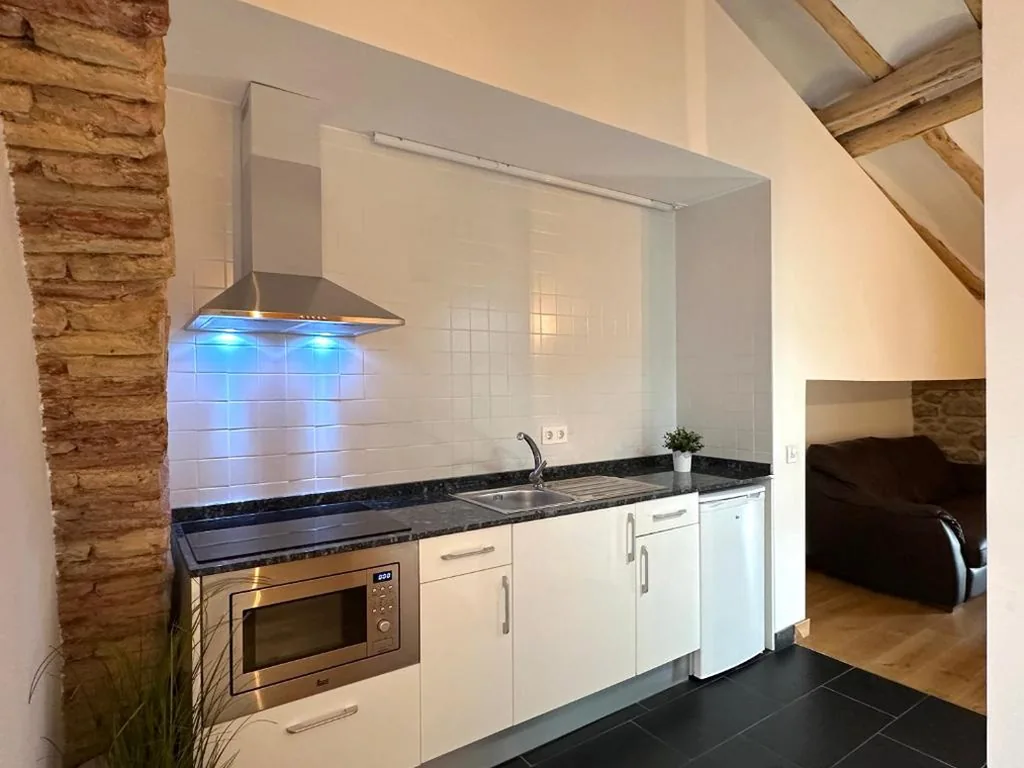 Apartamento com 1 quarto — Palacio de Sansol