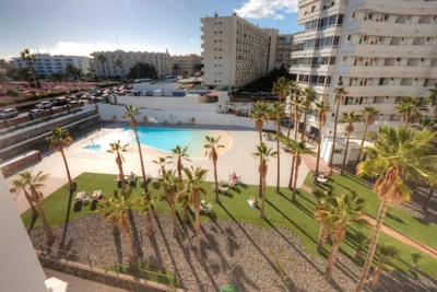 Palm Friendly Holiday Home — photo 4
