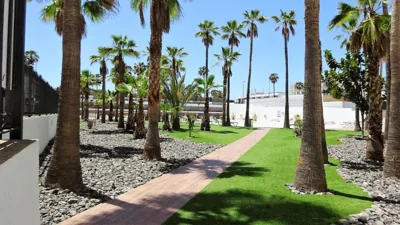 Palm Friendly Holiday Home — photo 7