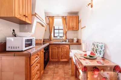 Palmera mirador — foto 4