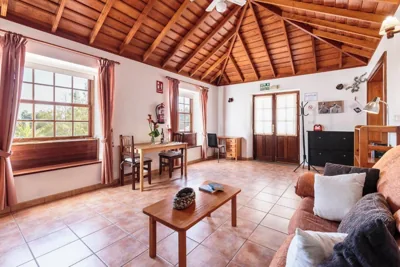 Palmera mirador — foto 5