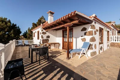 Palmera mirador — foto 6