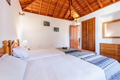 Palmera mirador — foto 7