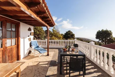 Palmera mirador — foto 10