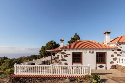 Palmera mirador — foto 12