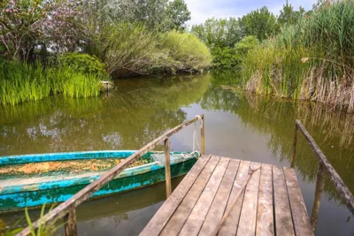Paradís de Montse — Foto 12