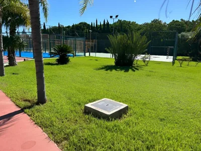 Paradise — foto 6