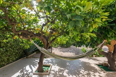 PARADISE GARDEN — photo 10