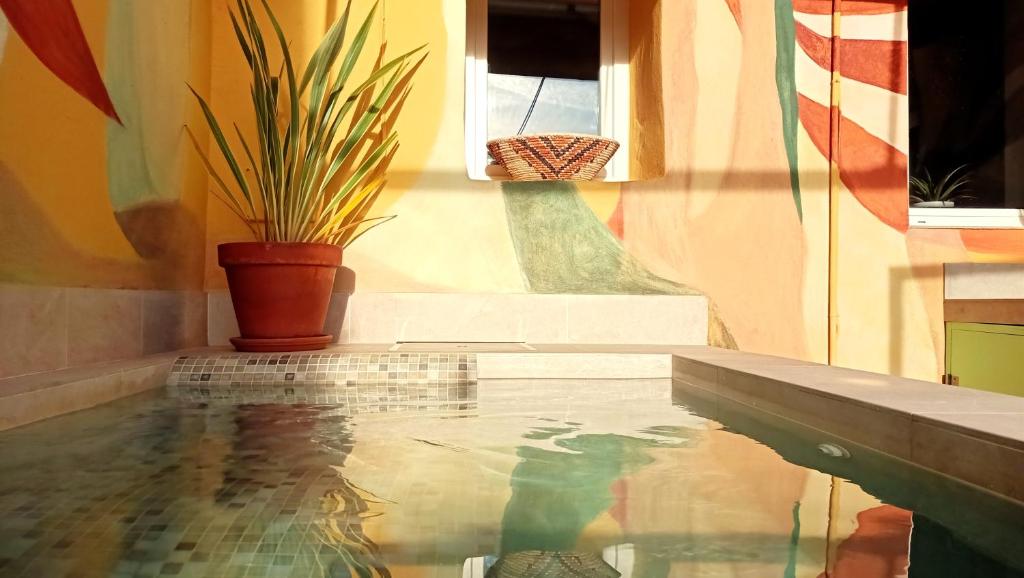 Paradise Island House