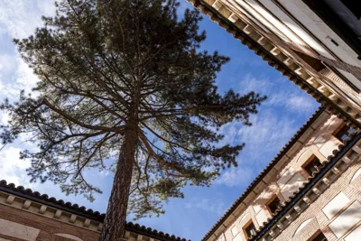 Parador de Ávila — foto 10