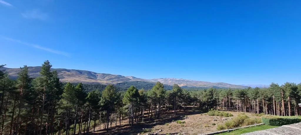 スーペリアダブルルーム — Parador de Gredos