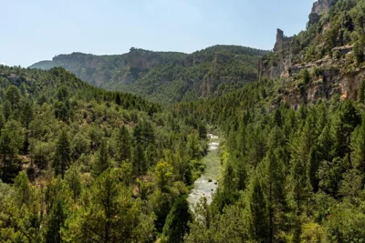 Parador de Molina de Aragón — Foto 12