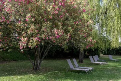 Parador de Tui — foto 10