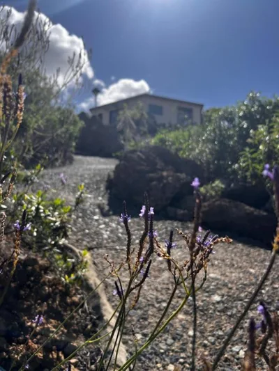 Parasol - Finca Tabaiba by TOR — Foto 6