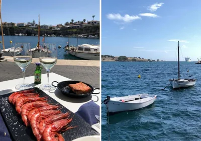 Pardela Menorca — Foto 11