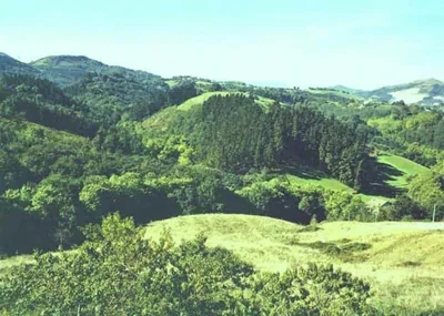 Pardiola Baserria — 照片 8