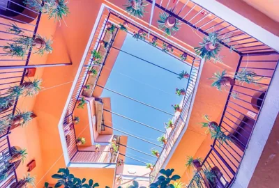 Patio de La Alameda — 写真 3