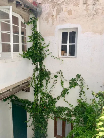 Patios del Agua — photo 12