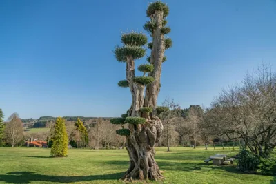 Pazo de Eidian — Foto 11