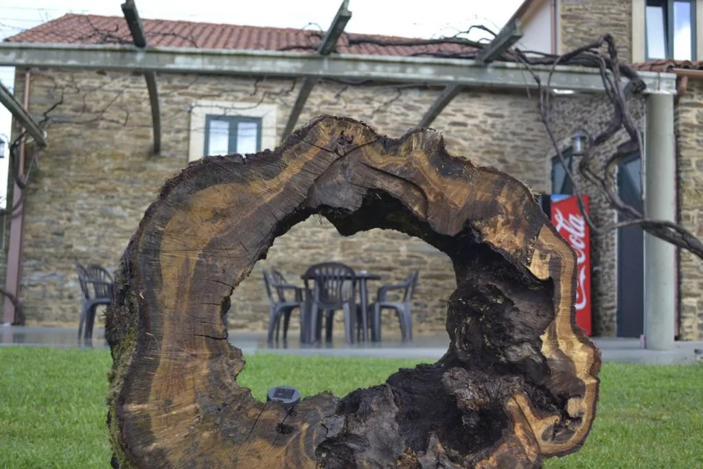 Lit superposé en dortoir mixte — Pension Albergue Alborada