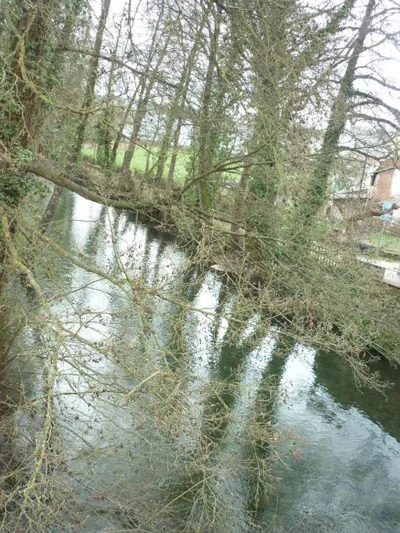 Pensión-Albergue Puente Ribeira — photo 11