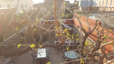 Pensión Avenida — foto 6