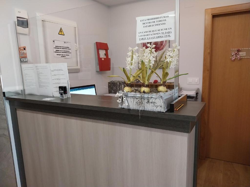 Pension Begoña