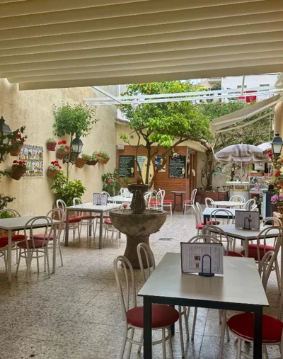 Pension Casa Austria — foto 4