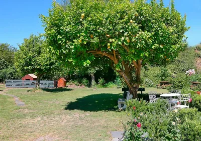 Pensión Casa Elena — Foto 11