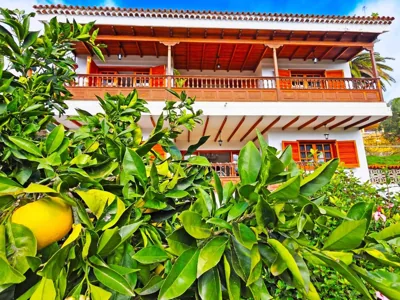 Pension Casa Esperanza — 照片 8