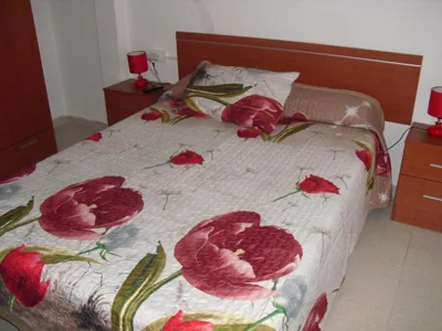 Pension El Guanche — foto 10