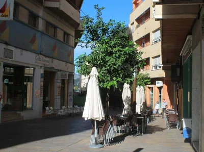 Pension El Parque — 写真 5