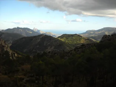 Pensión El Pirineo — foto 12
