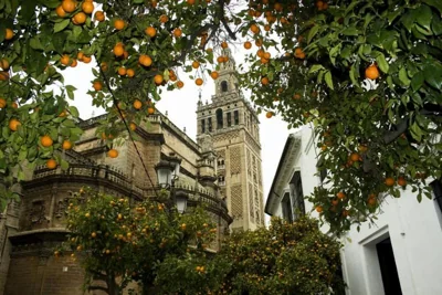 Pensión La Montoreña — Foto 11