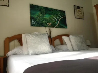 Pensión Leyre — foto 11