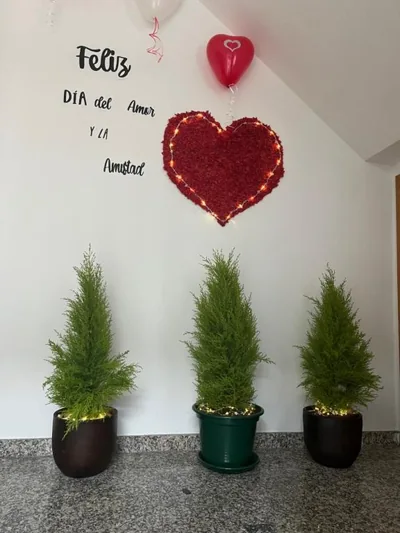 Pension Luscofusco — foto 12