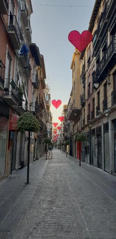 Pension Mesones — foto 10