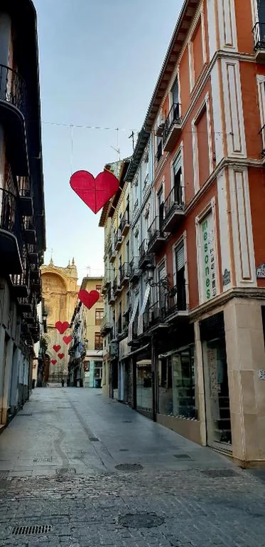 Pension Mesones — foto 11