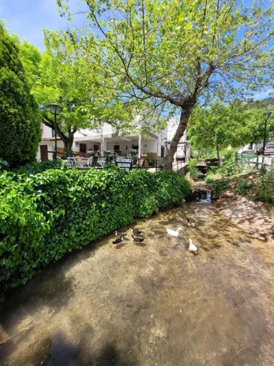 Pensión Pradera — foto 7