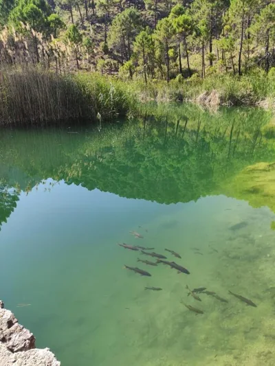 Pensión Pradera — foto 12
