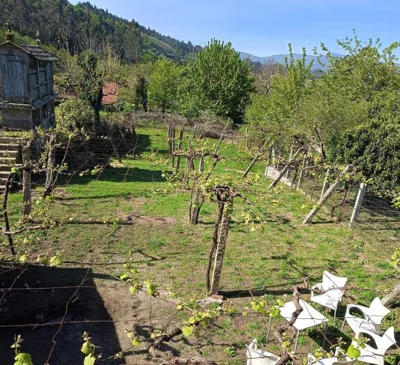 Pensión Rural para Peregrinos "AREAL" — foto 11