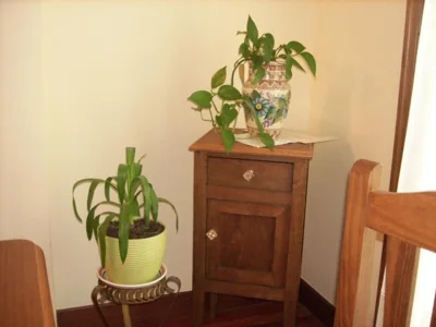 Pension Txomin Ostatua — foto 8