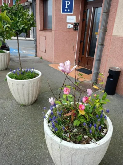 Pension Urola — foto 11