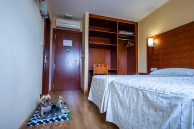 Pension Viella Asturias — foto 11