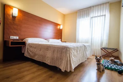Pension Viella Asturias — foto 12
